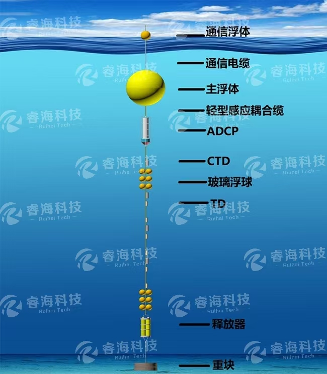 微信圖片_20250225170735 微信圖片_20250225170735